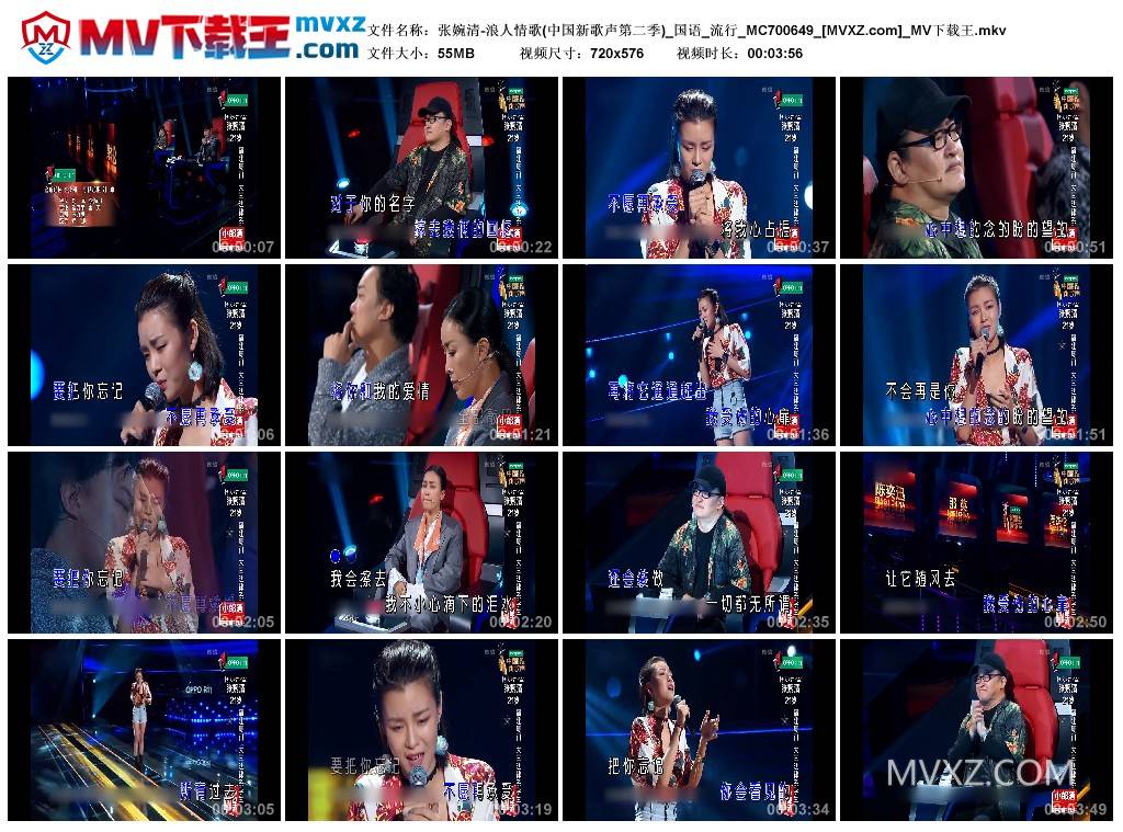 张婉清-浪人情歌(中国新歌声第二季)_国语_流行_MC700649